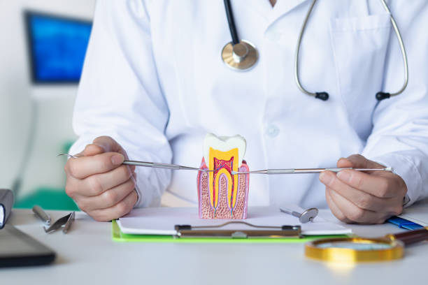 Best Emergency Wisdom Teeth Removal in Laurel, DE